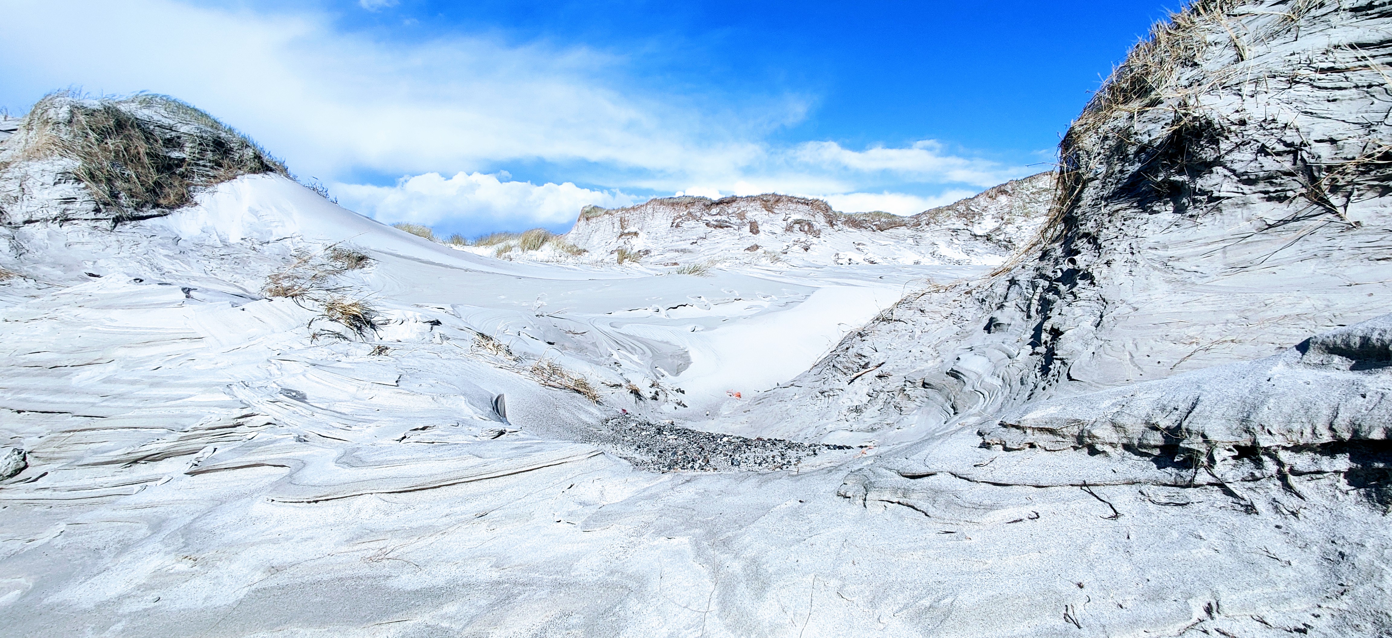 IMG 20220408 163700~2