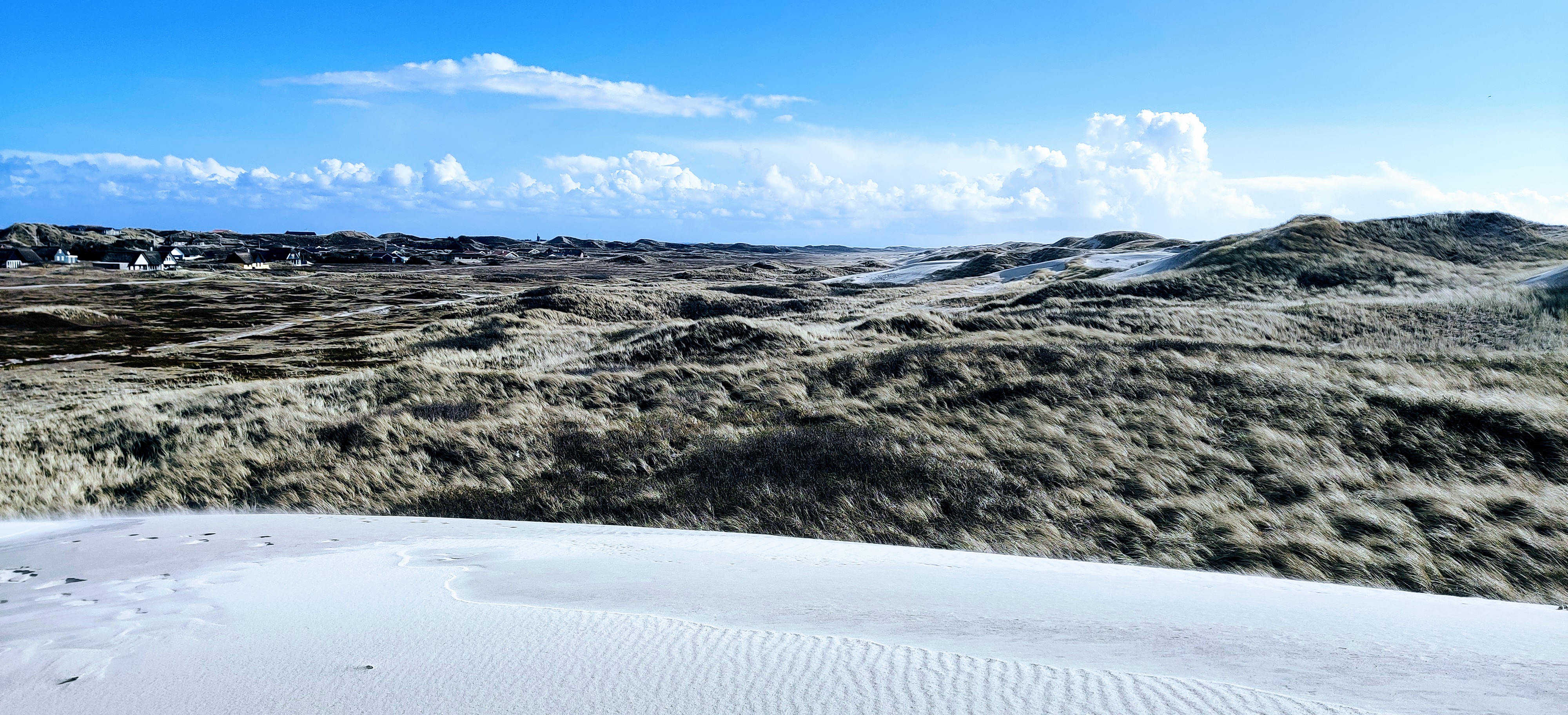 IMG 20220408 164843~2