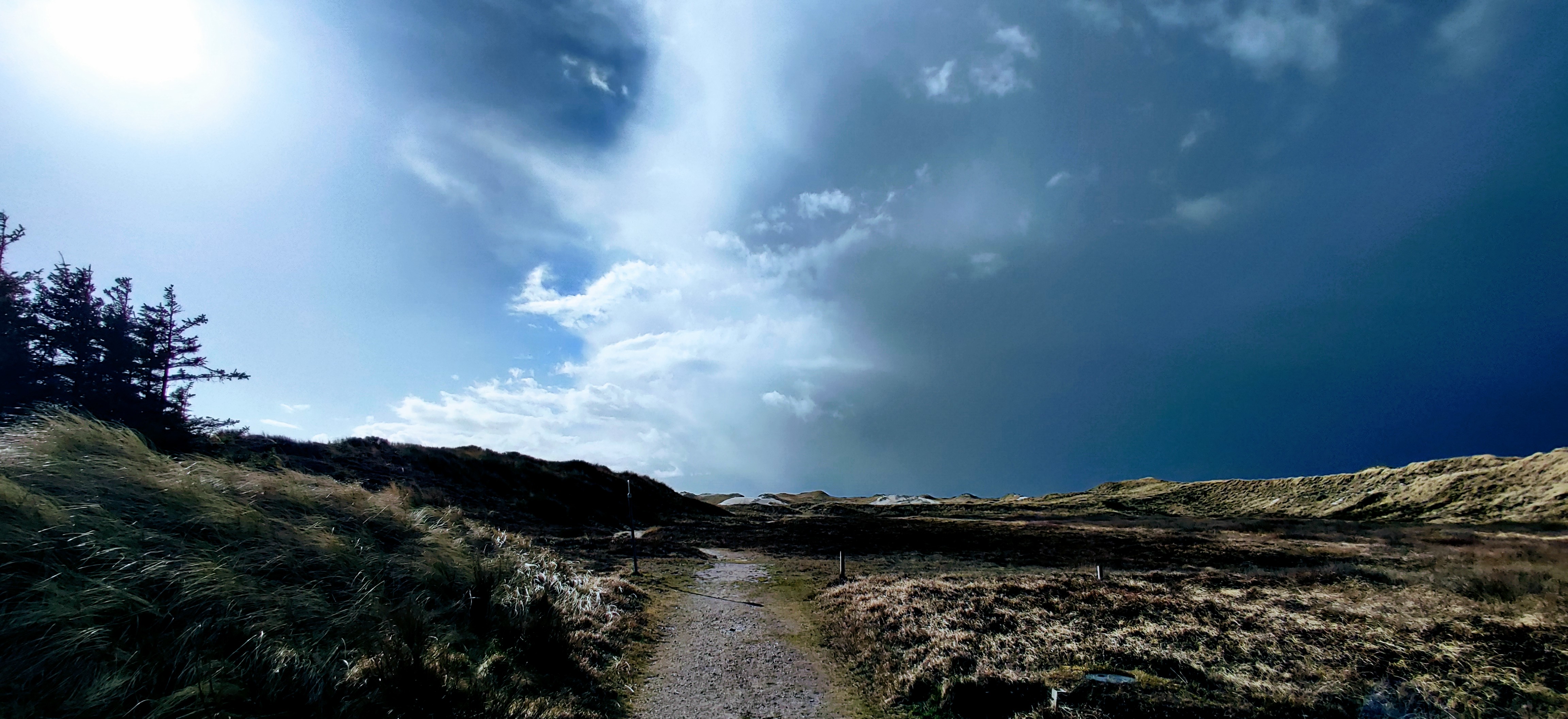 IMG 20220408 165717~2